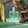 Glantier 802 - Geïnspireerd door Acqua di Giò Parfum